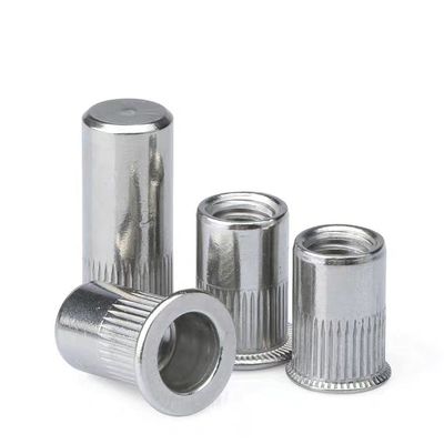 M4/5/6/8/10/12 Certificado ISO9001 2015 Nozes de rebites de aço carbono com cabeça grande contra-aberta