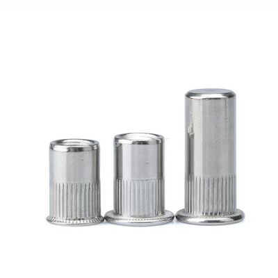 M4/5/6/8/10/12 Certificado ISO9001 2015 Nozes de rebites de aço carbono com cabeça grande contra-aberta
