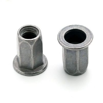 Aço de carbono zinco amarelo M6 cabeça redonda plana metade hex rivet Nut para interno e externo