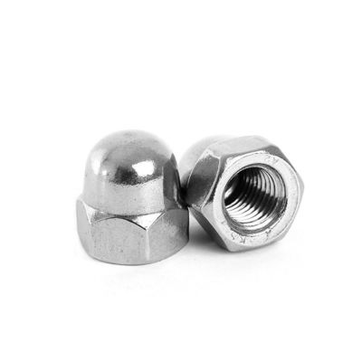 Edifício M2-M30 Fixação 304 aço inoxidável Hexagon cabeça redonda porco com cobertura decorativa